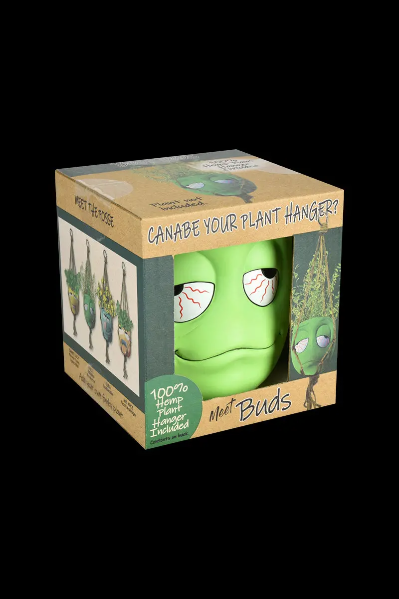 Best Buds Hanging Flower Pot Planter For Indoor Greenery 1