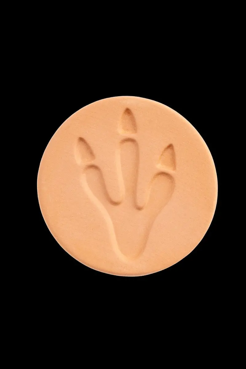 Daily High Club Fossil-Print Hydrostone Bong 1