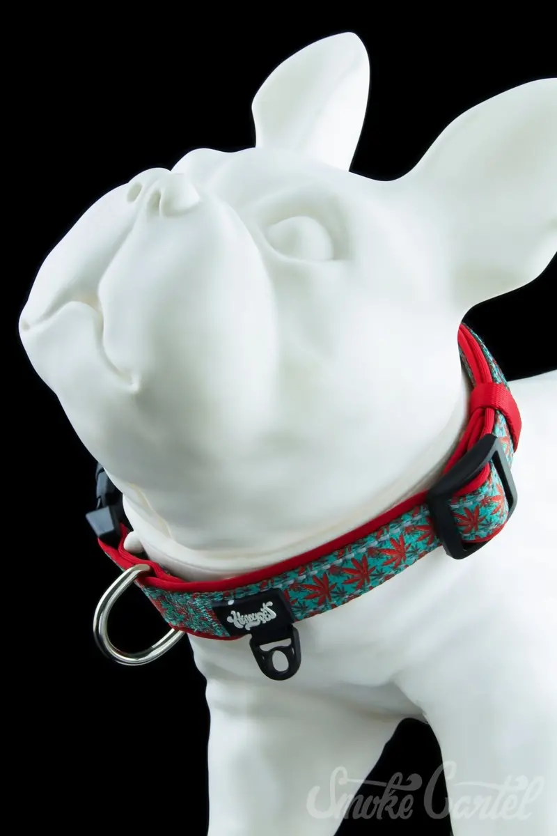Headypet V2 Adjustable Pet Collar For Enthusiasts 1