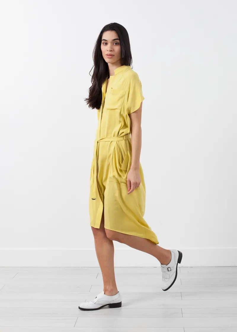 Luxury Silk Shirt Dress 1