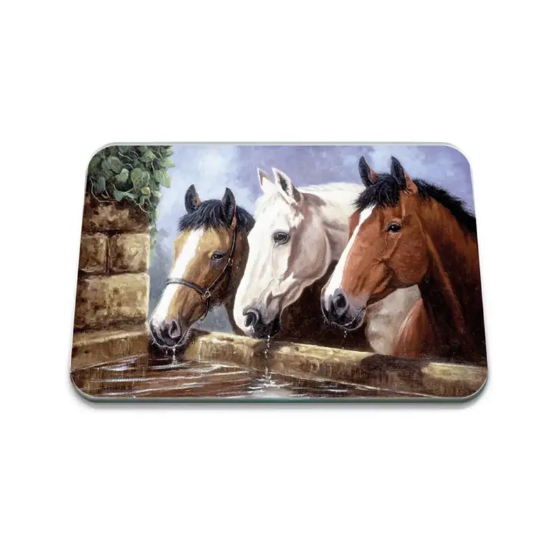 Medium Tempered Glass Surface Protector Mat 1