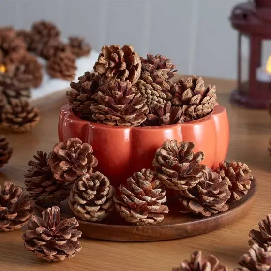 Natural Pine Cone Set – 600G Autumn Decorative Filler 1