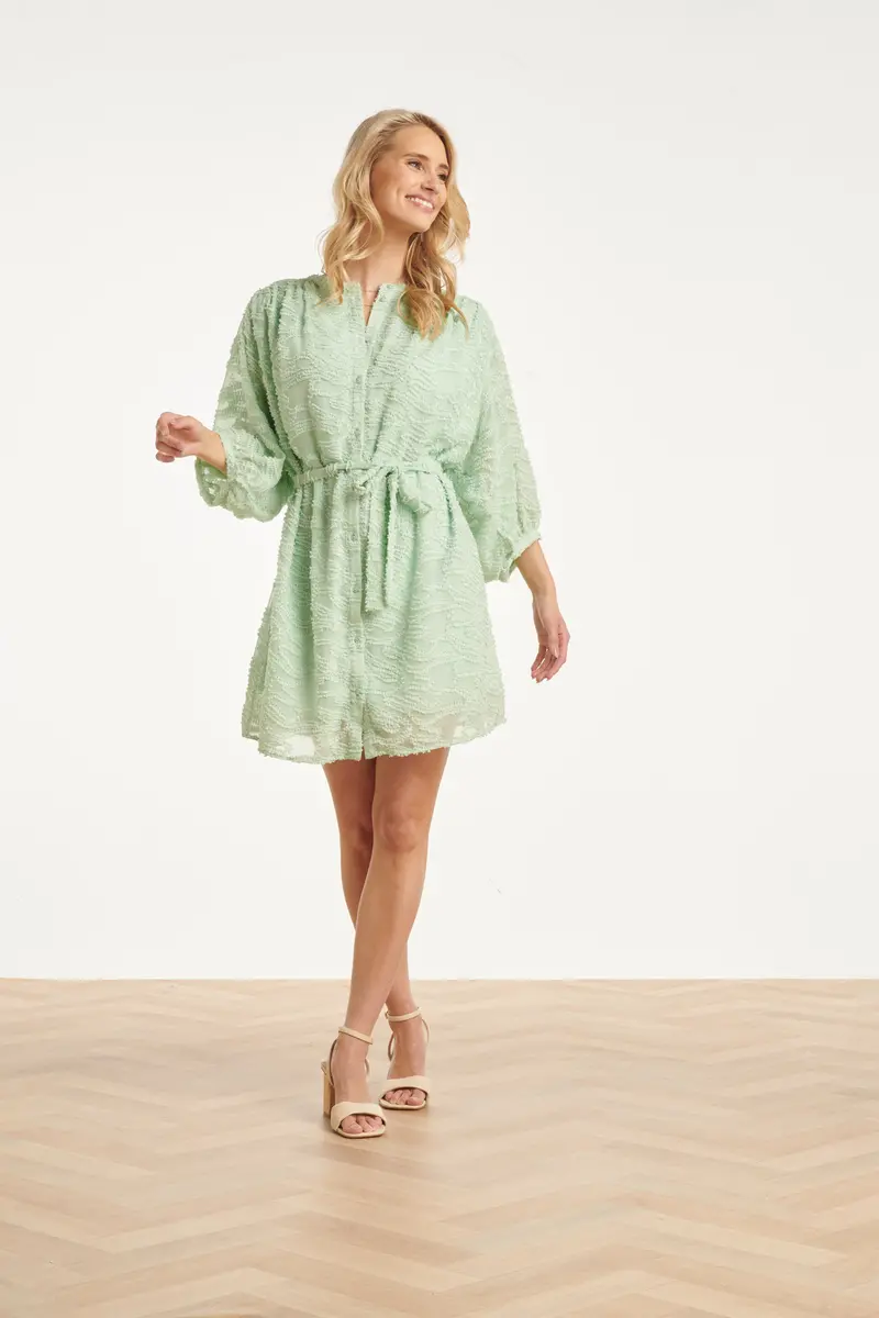 Soft Green Structured Dress With Abstract Texture Design 1